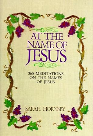 At the Name of Jesus Used Book at Skull & Books VR Cocoa Beach