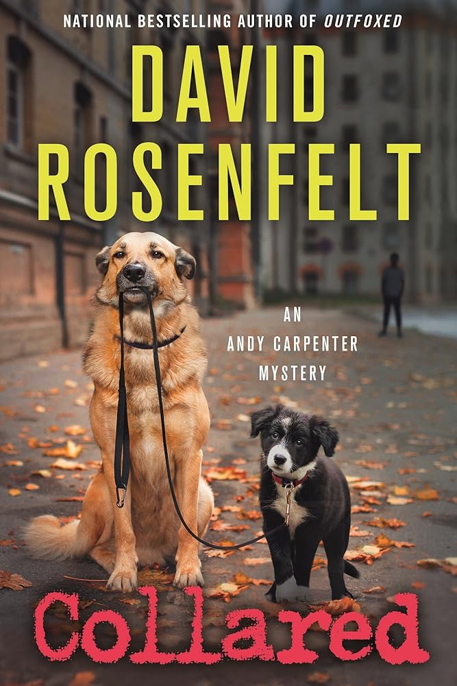 Collared: An Andy Carpenter Mystery (An Andy Carpenter Novel, 16) Used Book at Skull & Books VR Cocoa Beach