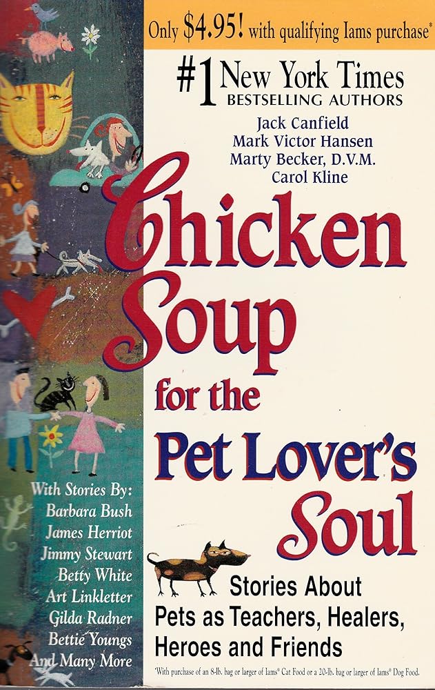 Chicken Soup for the Soul: 101 Stories to Open the Heart and Rekindle the Spirit Used Book at Skull & Books VR Cocoa Beach