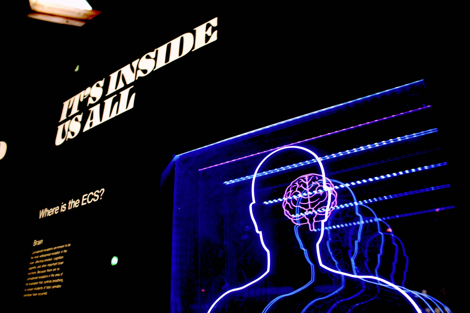 Social Science image representing Collection at Skull & Books VR Cocoa Beach
