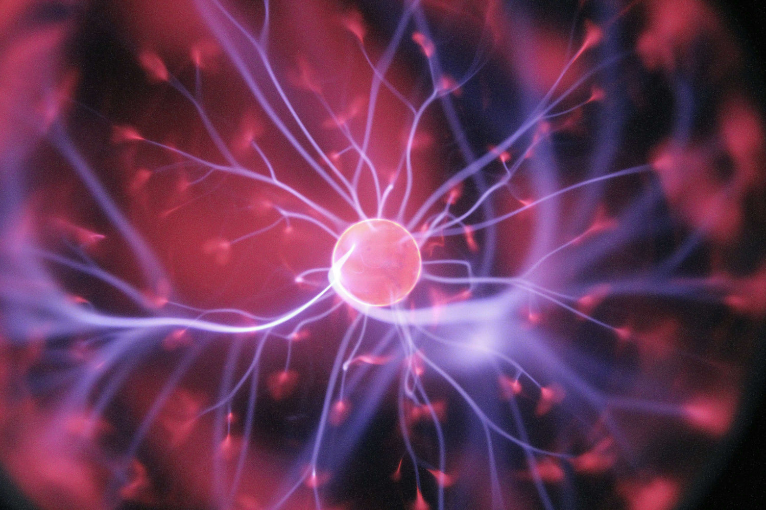 Science image representing Collection at Skull & Books VR Cocoa Beach