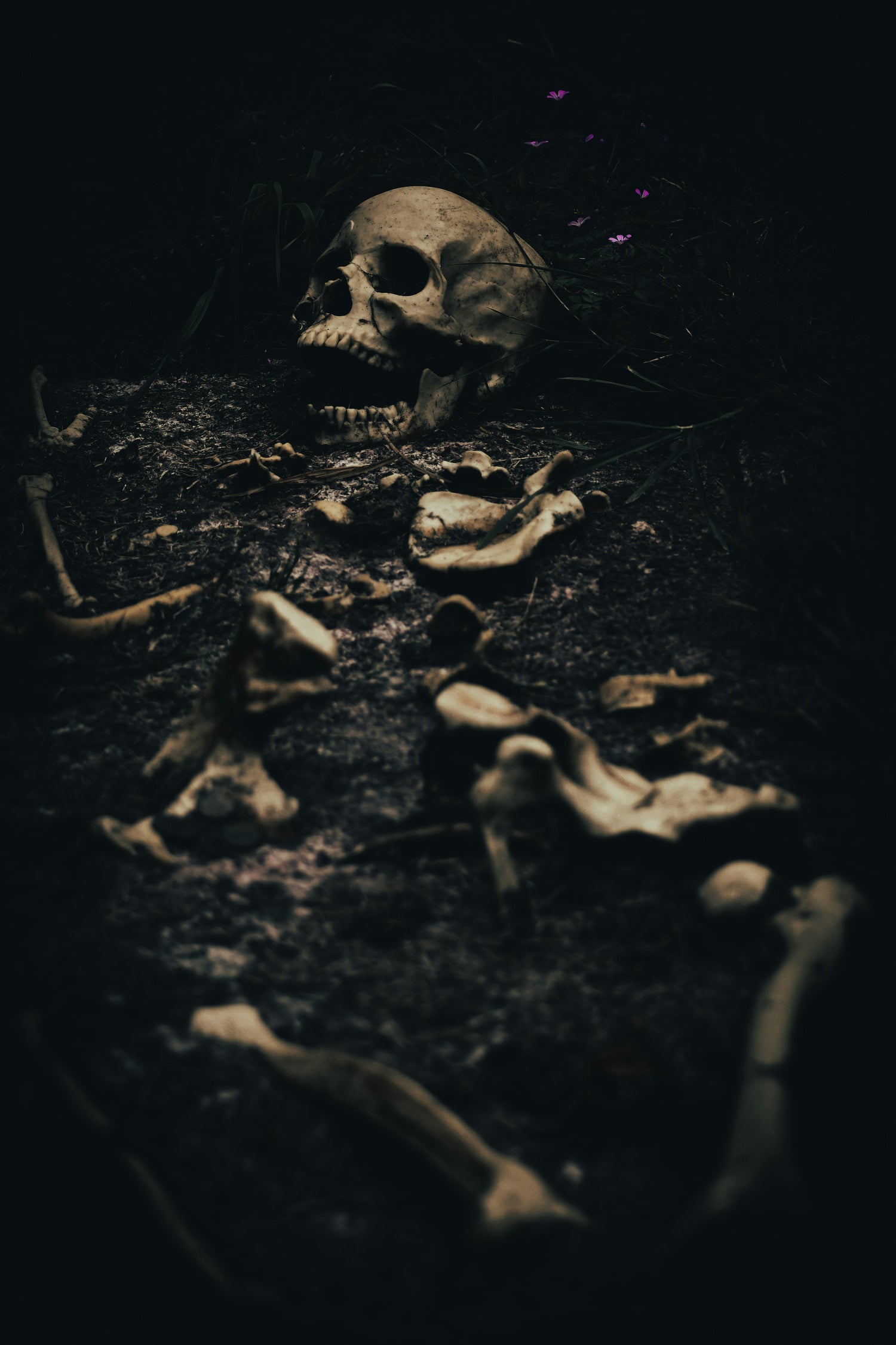 Horror VR