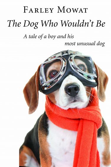 The Dog Who Wouldn't Be Used Book at Skull & Books VR Cocoa Beach
