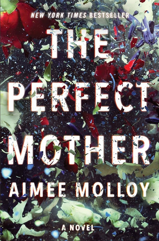 The Perfect Mother: A Novel Used Book at Skull & Books VR Cocoa Beach