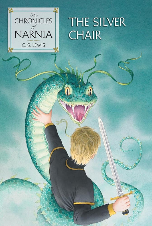 The Silver Chair: 6 Used Book at Skull & Books VR Cocoa Beach