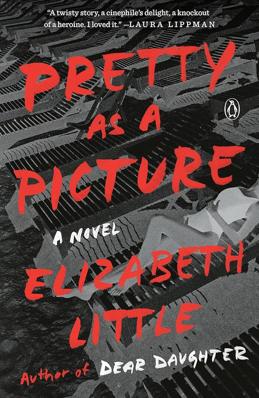 Pretty as a Picture: A Novel cover image