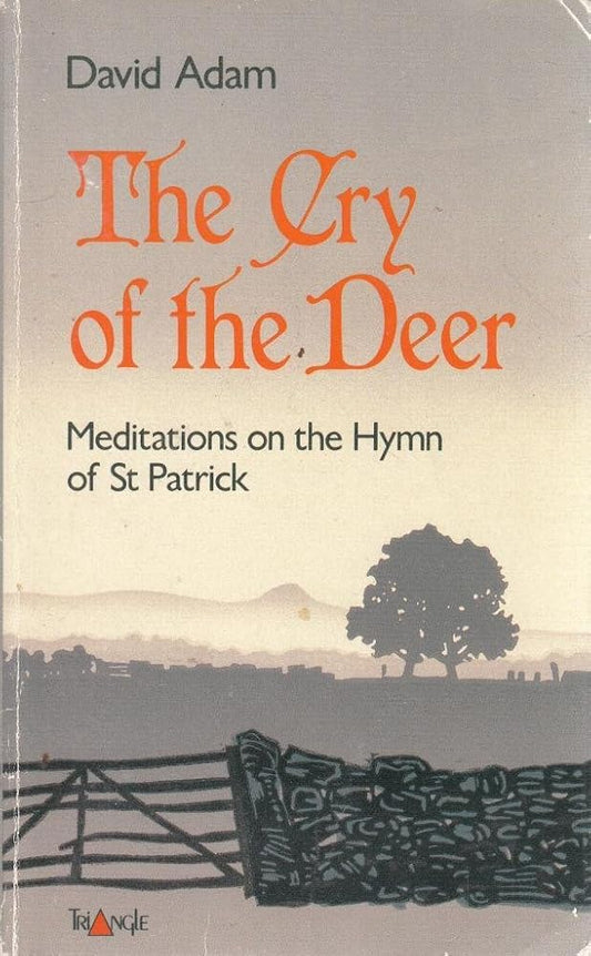 The cry of the deer Used Book at Skull & Books VR Cocoa Beach