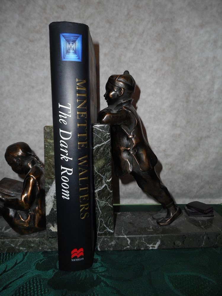 The dark room Used Book at Skull & Books VR Cocoa Beach