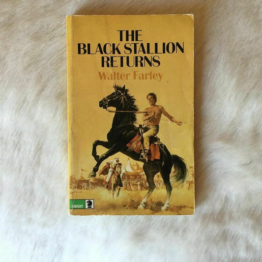 The Black Stallion Returns Used Book at Skull & Books VR Cocoa Beach