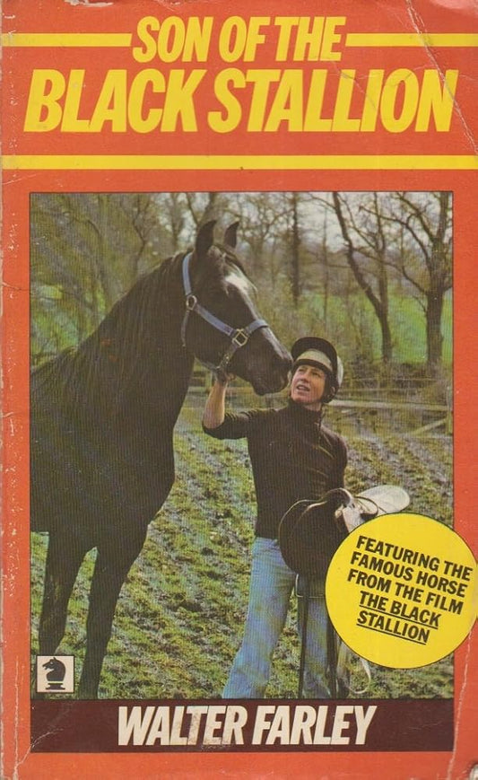 Son Of The Black Stallion (Black Stallion Adventure 3) Used Book at Skull & Books VR Cocoa Beach