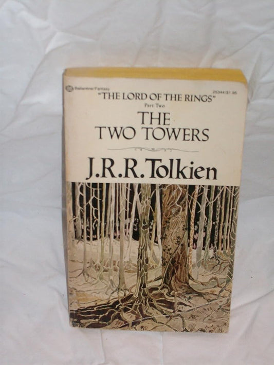 The Two Towers Used Book at Skull & Books VR Cocoa Beach