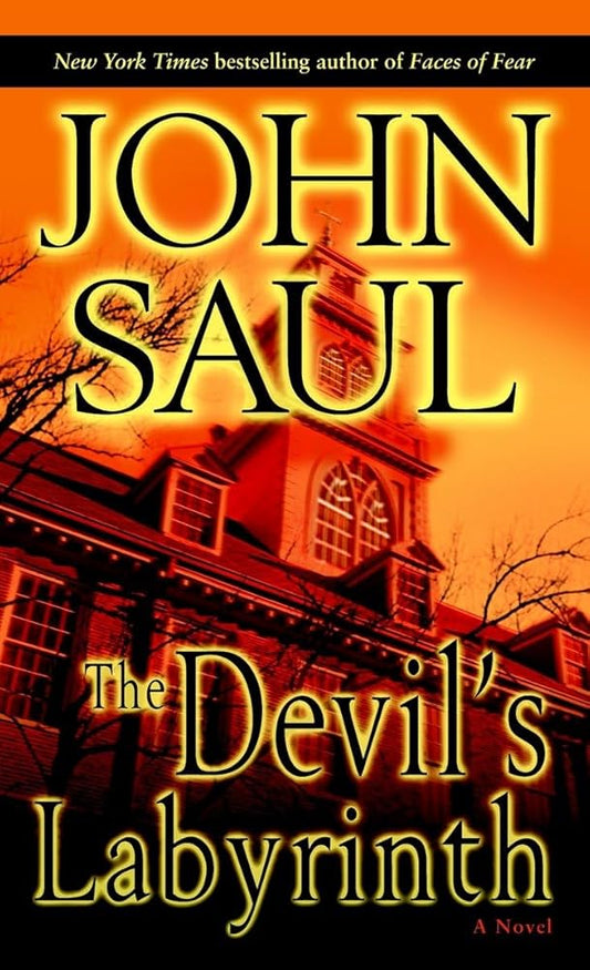 The Devil's Labyrinth: A Novel Used Book at Skull & Books VR Cocoa Beach