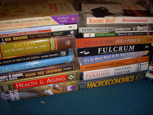 State Fair (Benni Harper) Used Book at Skull & Books VR Cocoa Beach
