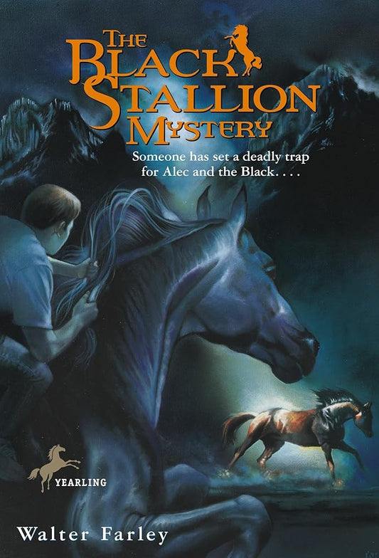 The Black Stallion Mystery Used Book at Skull & Books VR Cocoa Beach