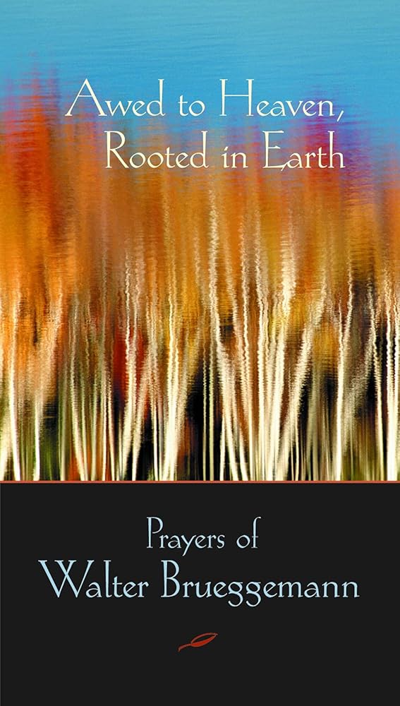 Awed to Heaven, Rooted in Earth: Prayers of Walter Brueggemann Used Book at Skull & Books VR Cocoa Beach