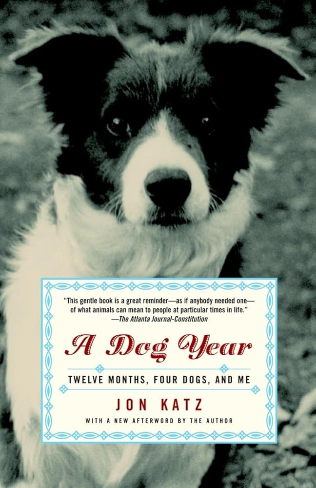 A Dog Year: Twelve Months, Four Dogs, and Me Used Book at Skull & Books VR Cocoa Beach