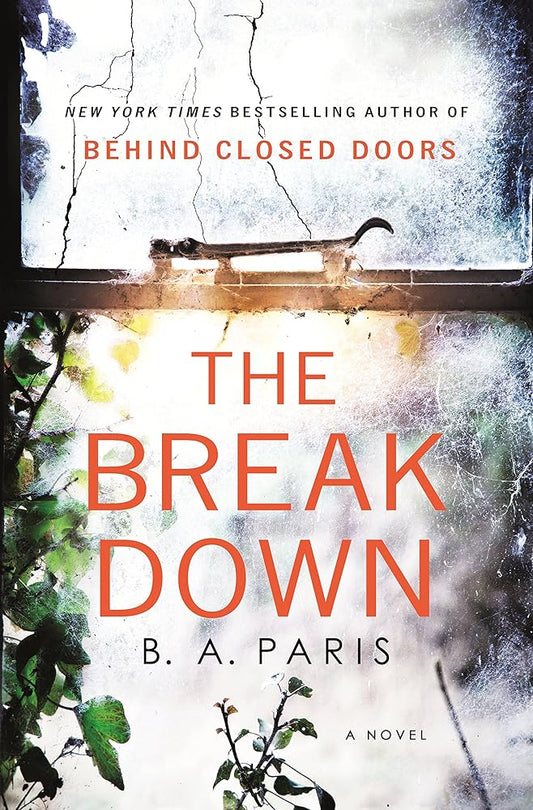 The Breakdown: A Novel Used Book at Skull & Books VR Cocoa Beach