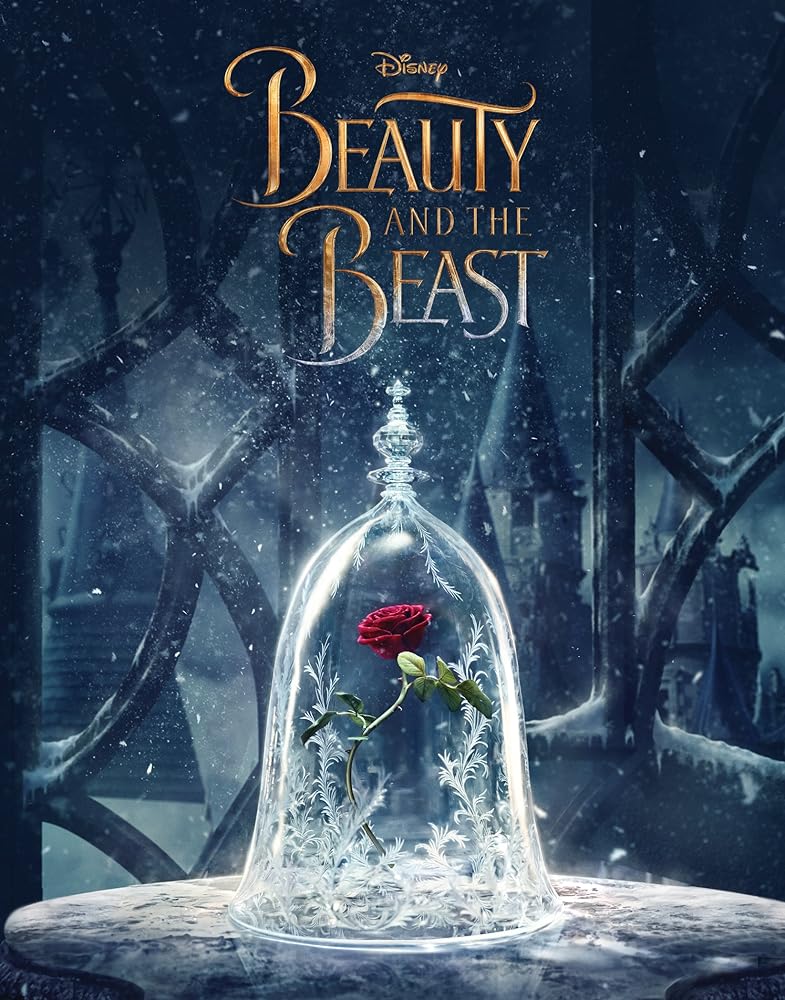 Beauty and the Beast Used Book at Skull & Books VR Cocoa Beach