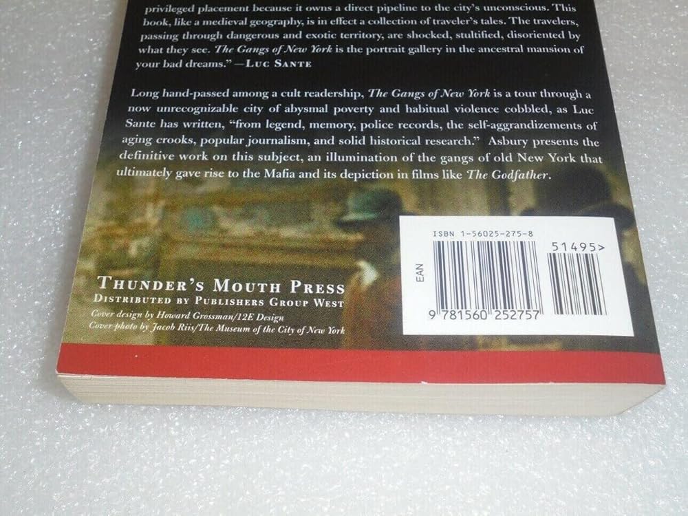 The Gangs of New York: An Informal History of the Underworld Used Book at Skull & Books VR Cocoa Beach