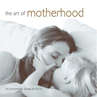 The Art of Motherhood Used Book at Skull & Books VR Cocoa Beach