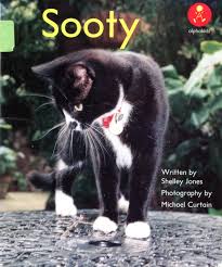Sooty Used Book at Skull & Books VR Cocoa Beach